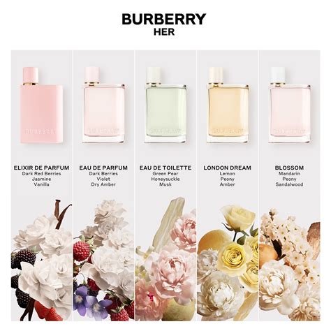 what does burberry her smell like|Burberry Her elixir reviews.